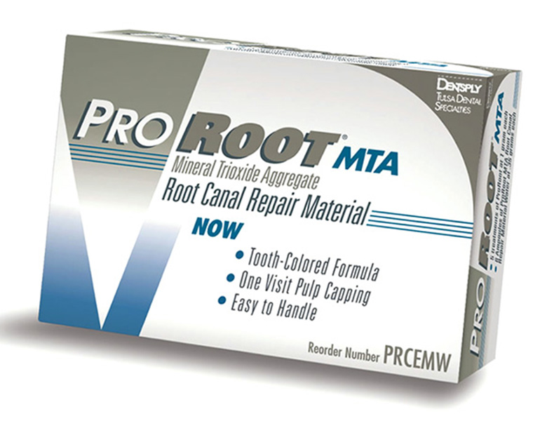 久里浜の歯医者、久里浜グリーン歯科の根管治療